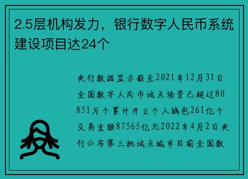 2.5层机构发力，银行数字人民币系统建设项目达24个